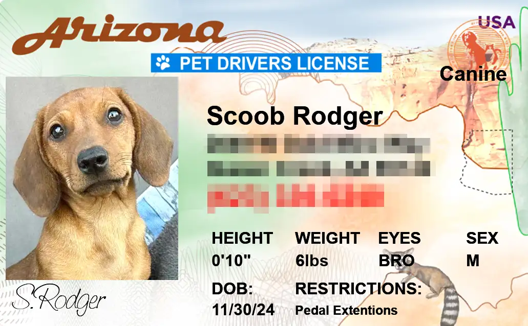Arizona state pet licenses