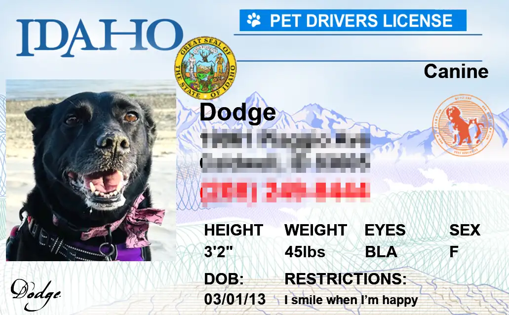 Idaho state pet licenses
