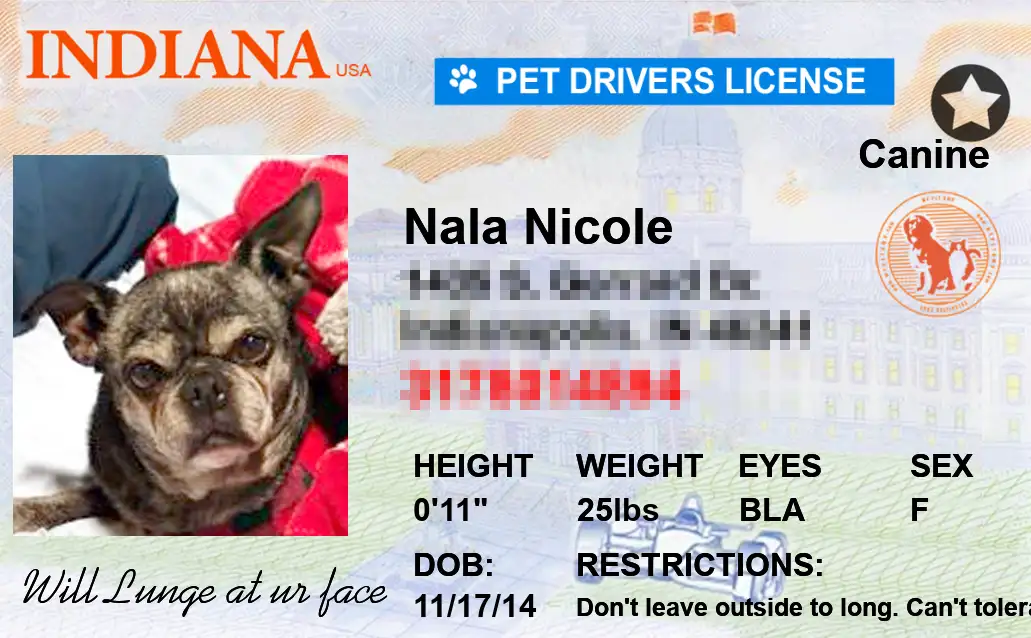 Indiana state pet licenses