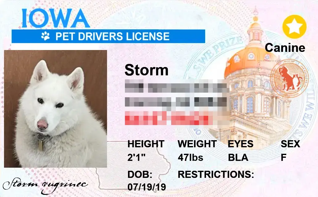 Iowa state pet licenses