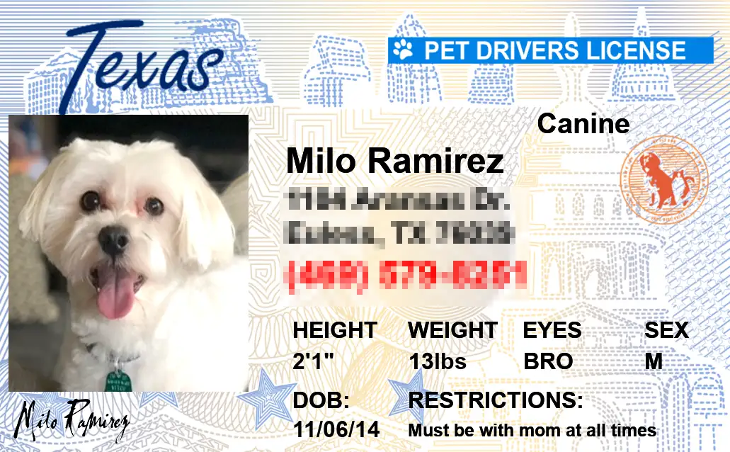 Texas state pet licenses