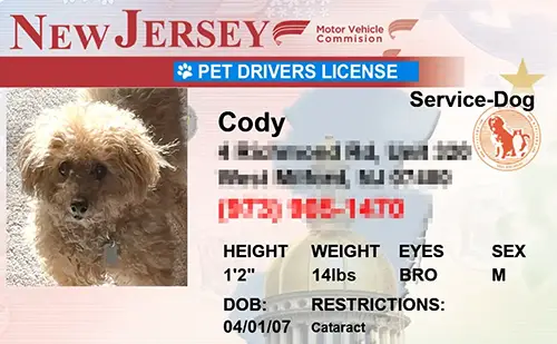 Sample pet ID tag for a dog in New Jersey