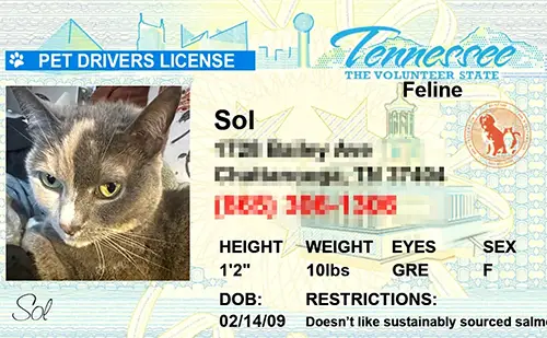 Sample pet ID tag for a dog in Tennessee
