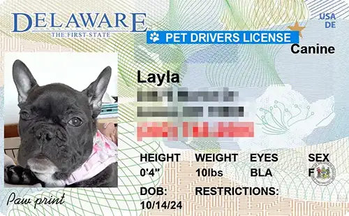 Delaware custom dog driver license style ID tag