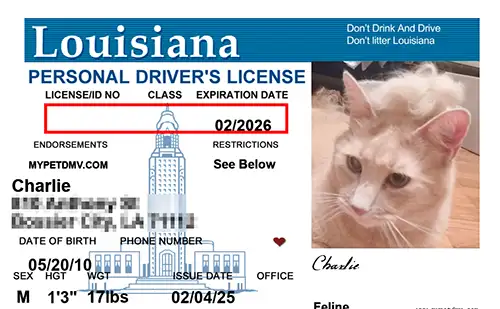 Sample pet ID tag for a dog in Louisiana
