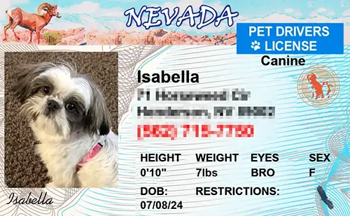 Nevada custom dog driver license style ID tag