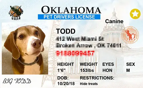 Sample pet ID tag for a dog in Oklahoma