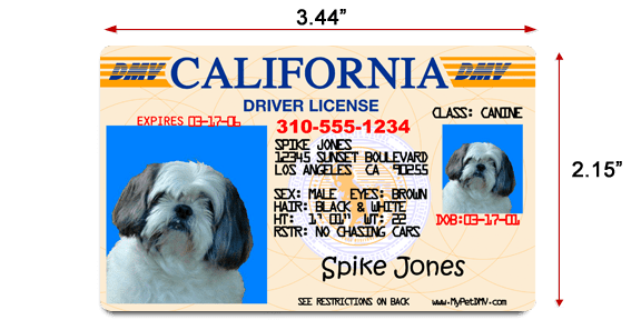 PAW-fect Size one wallet sized Pet ID Card