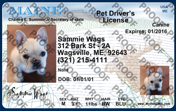 Maine state pet licenses