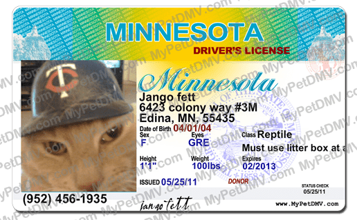 Minnesota state pet licenses