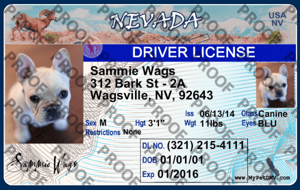 Nevada state pet licenses