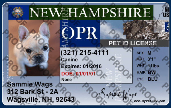 Hampshire state pet licenses