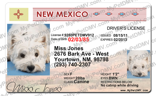 New Mexico custom dog driver license style ID tag