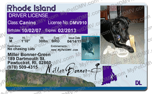 Sample pet ID tag for a dog in Rhode Island