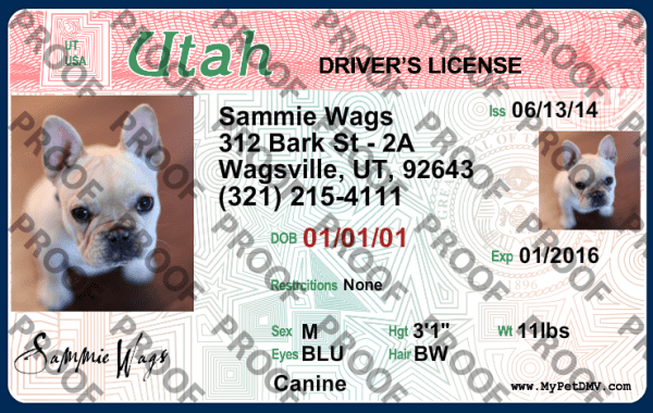 Utah state pet licenses