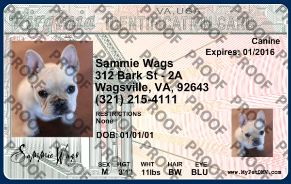 Virginia state pet licenses
