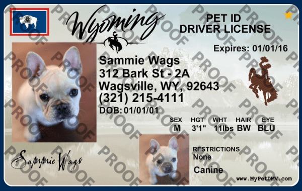Preview of personalized pet license tag design Wyoming