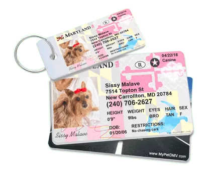 Mypetdmv Pet Drivers License Tags