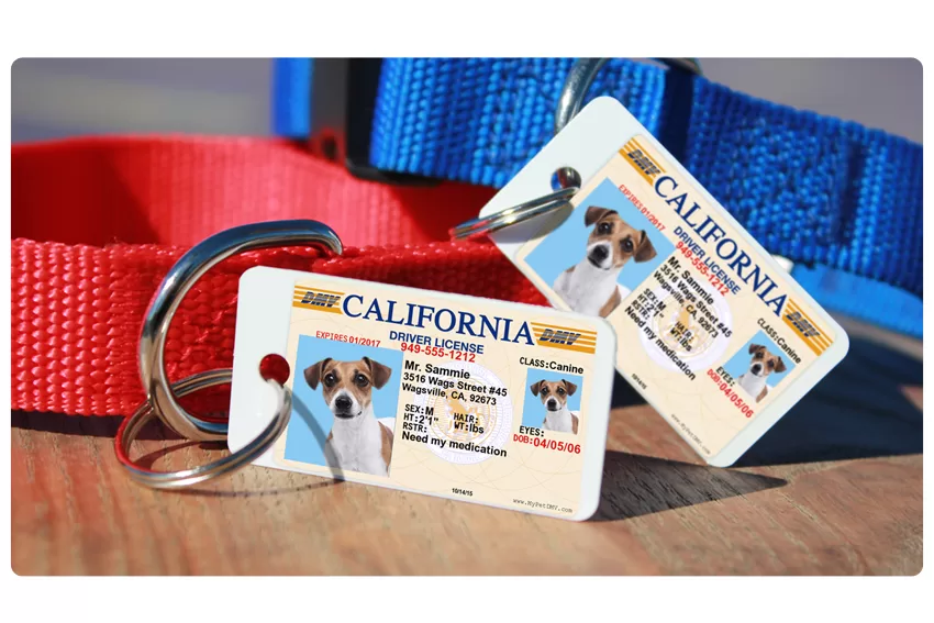 Pet ID License Tags – Durable, State-Specific Protection for Your Pet