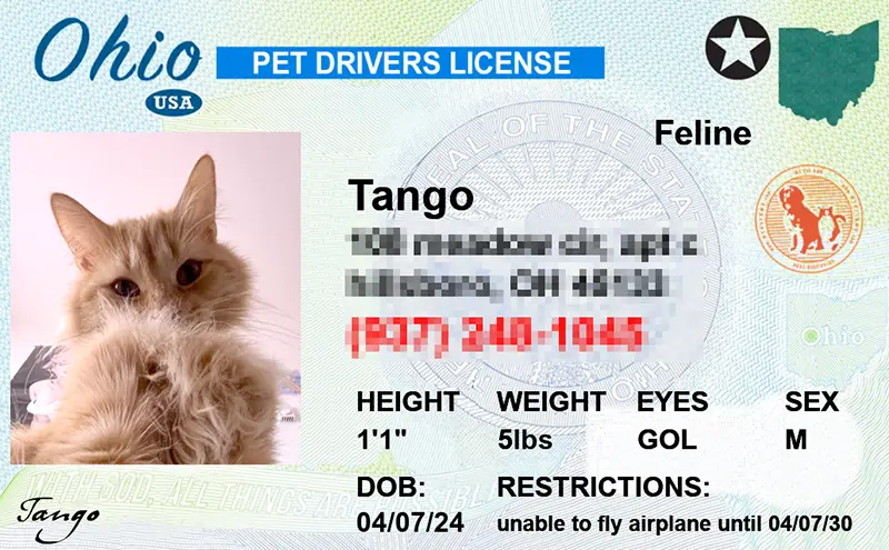 Pet-Licenses-for-State-Ohio