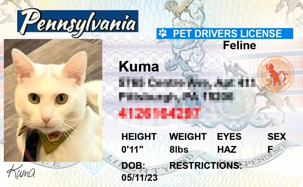 Pet-Licenses-for-State-Pennsylvania