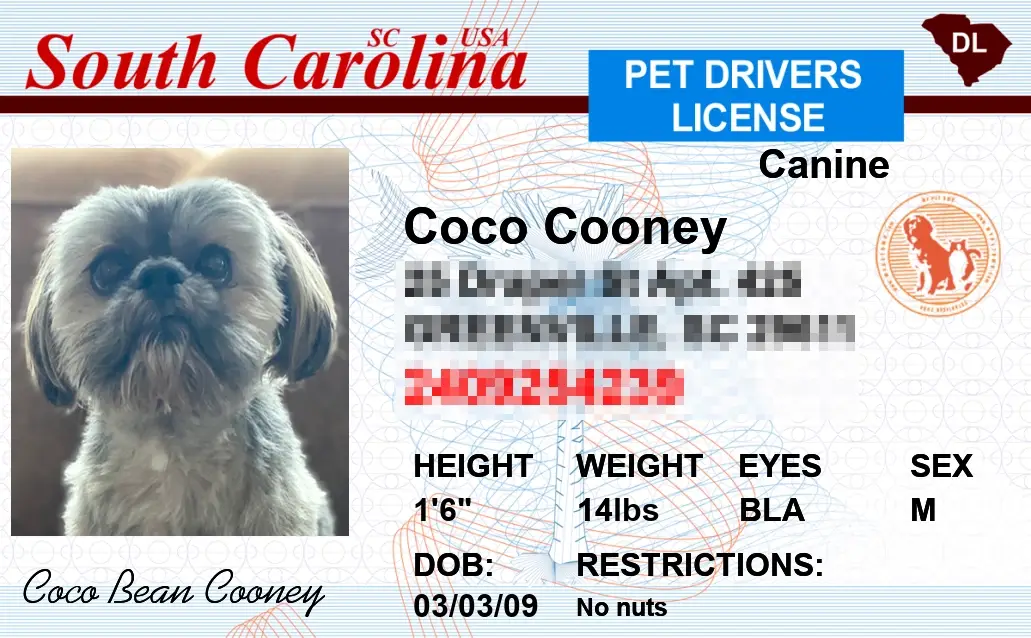Pet-Licenses-for-State-South-Carolina