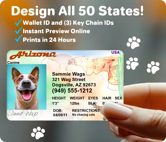 design all 50 states