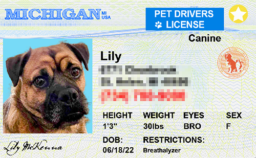 thumb-Pet-Licenses-for-State-BLUE-Michigan