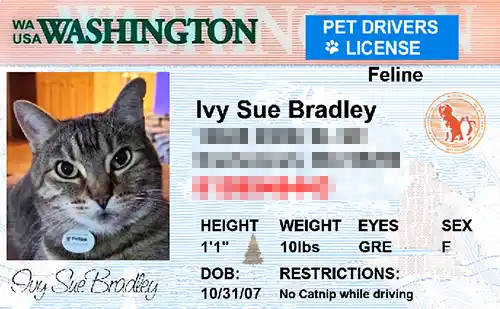 thumb-Pet-Licenses-for-State-washington